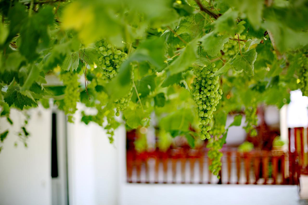 Sulo Pension Patara Exterior photo