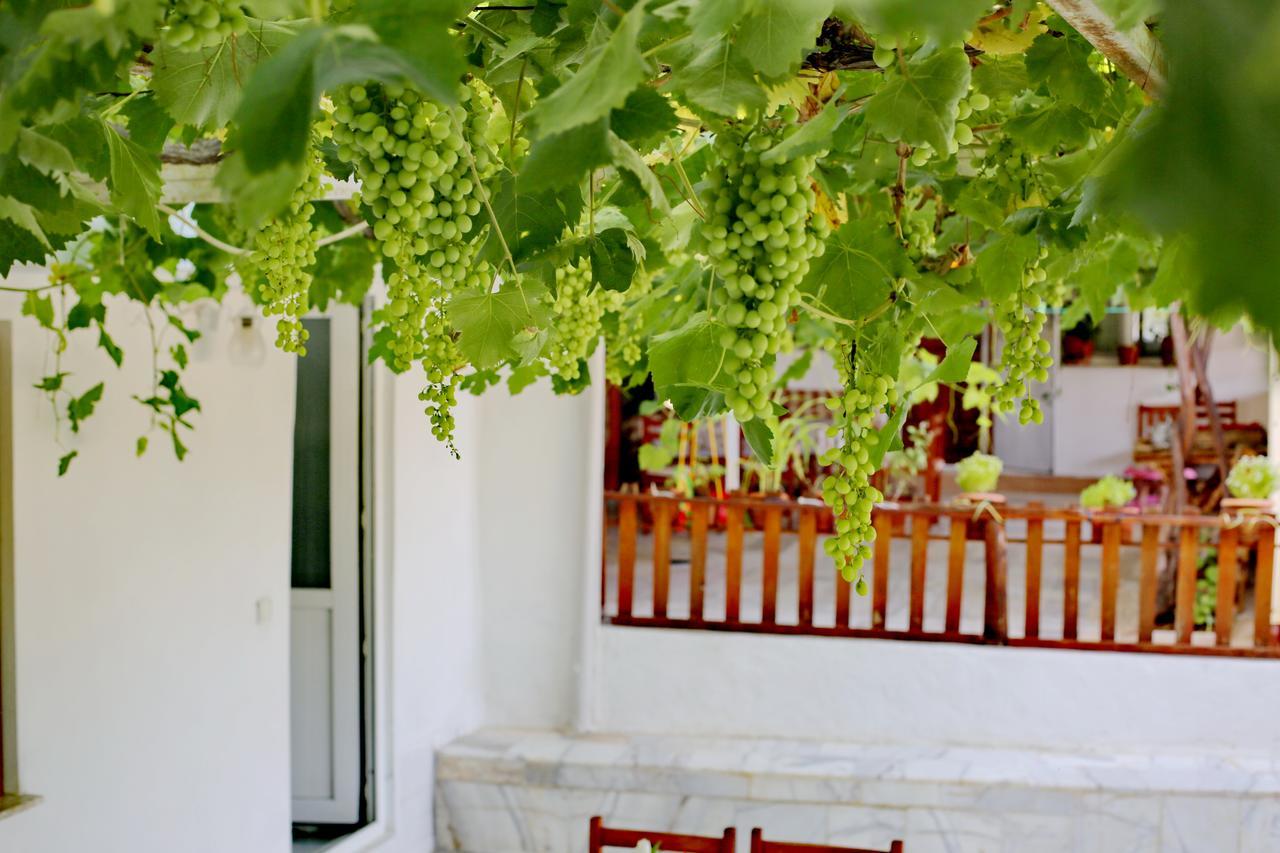 Sulo Pension Patara Exterior photo